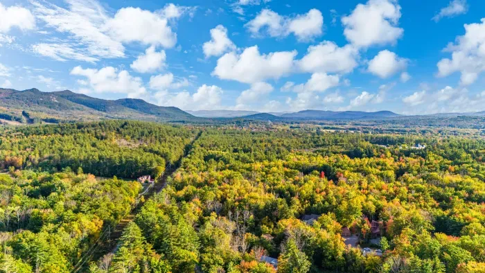 An aerial above the home!
