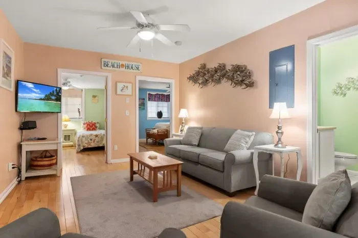 Living room: Full-size sleeper sofa with Smart TV