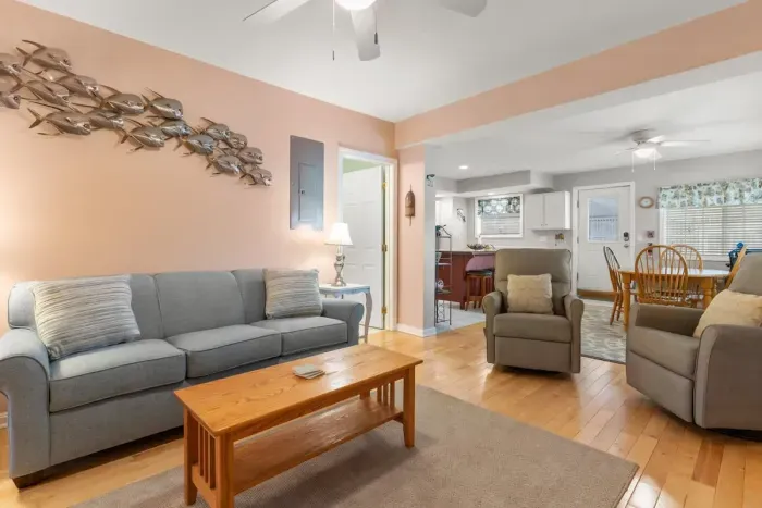 Living room with new sleeper couch