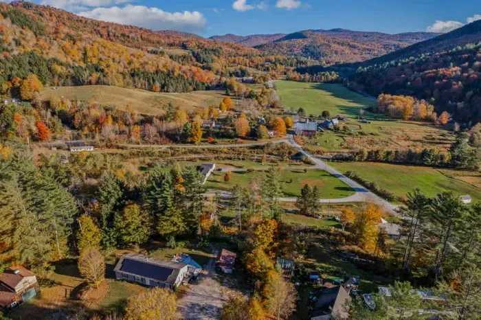 Fall foliage at Blueberry Hill Escape!