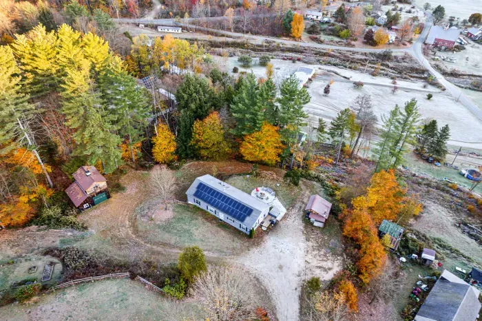 Fall foliage at Blueberry Hill Escape!