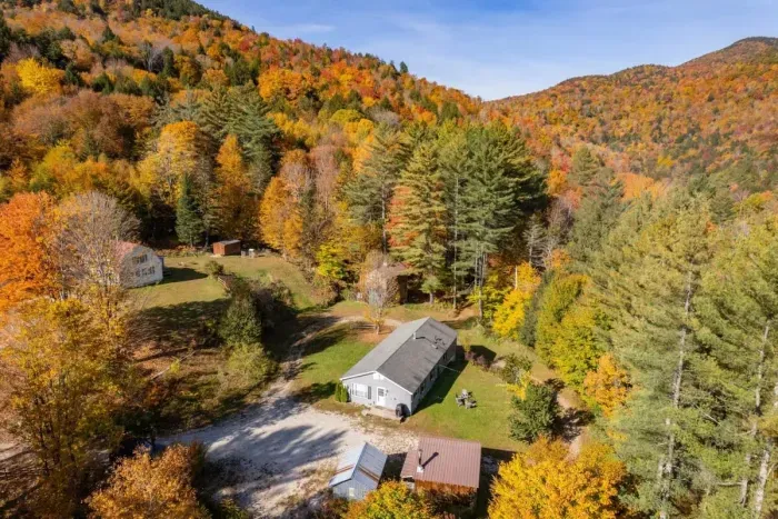 Surrounded by trees and the peace and quiet.