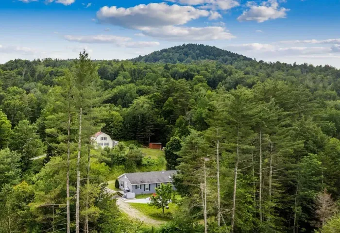 Surrounded by trees and the peace and quiet.