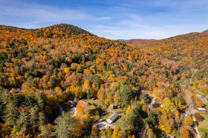 Surrounded by trees and the peace and quiet.