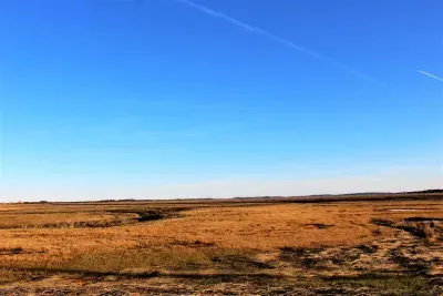 The marsh lands
