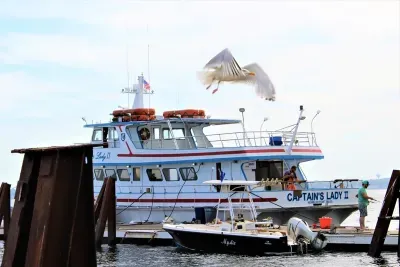 fishing boats