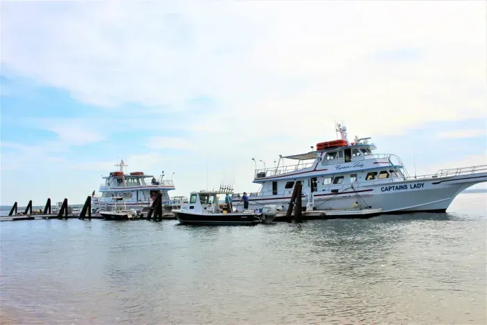 Captain's Fishing boats used for fishing, whale watching and sunset cruises.