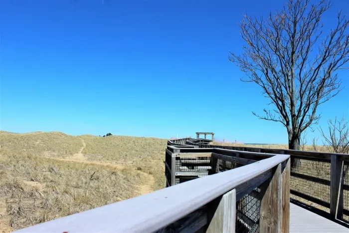 Easy public access via the boardwalk to and from the beach, just steps away from the rental.