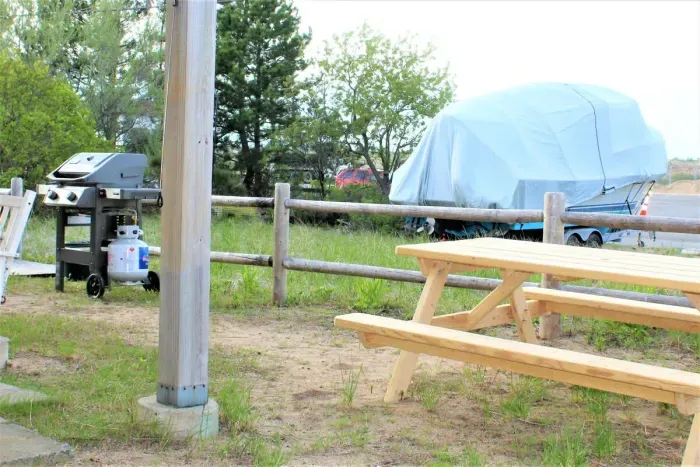 Back outdoor space with gas grill and picnic table