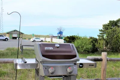 Back outdoor space with gas grill and picnic table