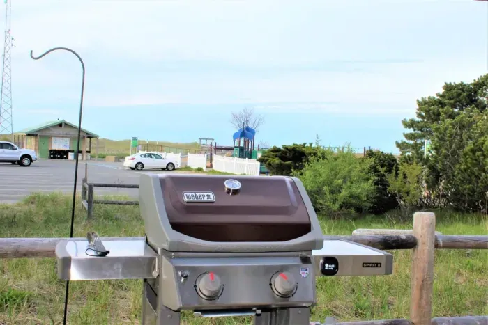 Back outdoor space with gas grill and picnic table