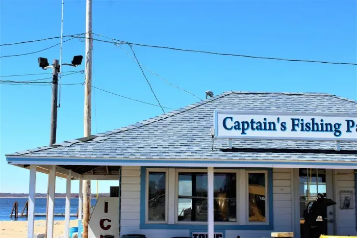 You're steps away from Captain's Fishing which charters fishing trips, whale watching and sunset cruises. All of which are amazing activities to enjoy while on the island.