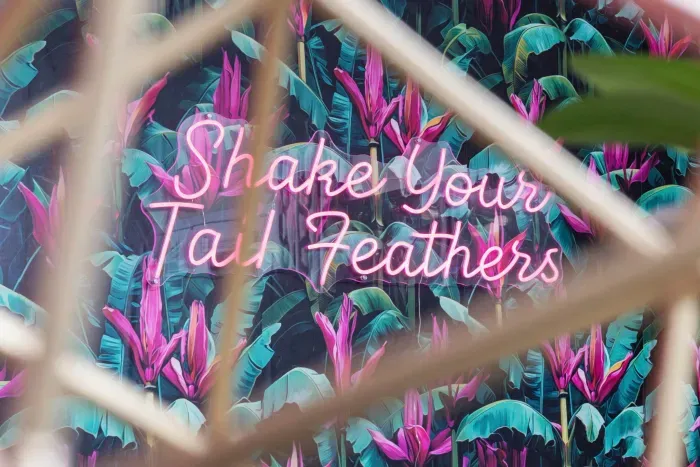 Fun neon sign. Turn on using light switch to the right of the sign, "Shake your tail feather"