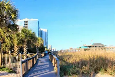 Pathway going to the beach