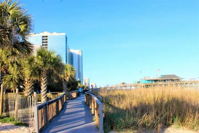 Pathway going to the beach
