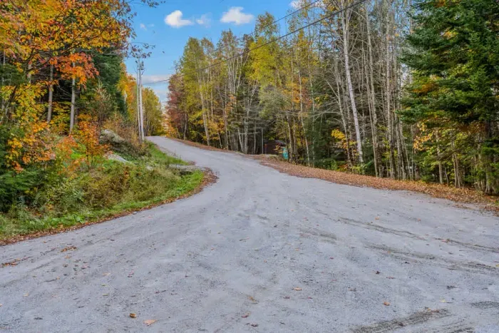 The road leading down to The Tower House. Incredible foliage in the fall!