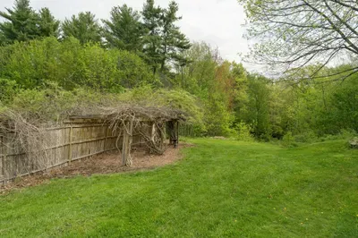 Backyard off of the patio area.