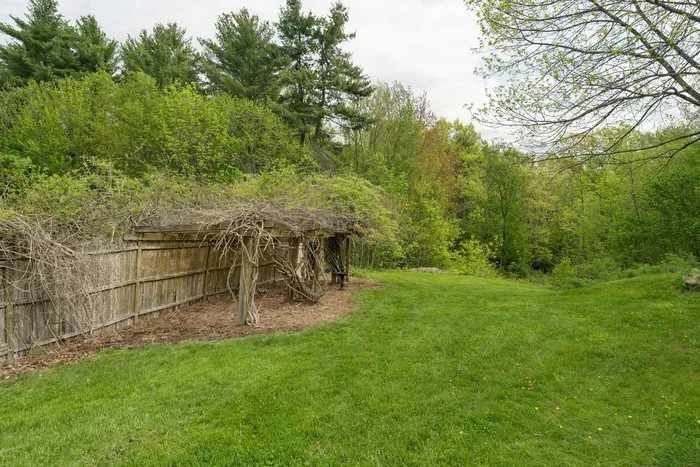 Backyard off of the patio area.