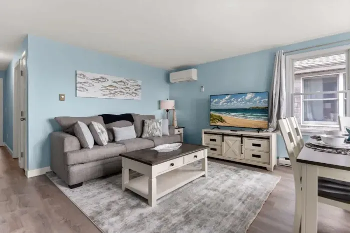 Living room (with sleeper sofa), strong WiFi and smart TV