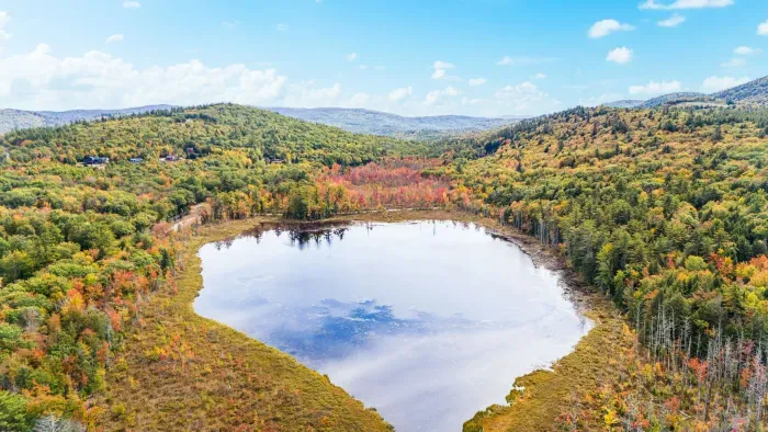 Nearby Dollof Pond - take a walk down the road and check it out at sunset!