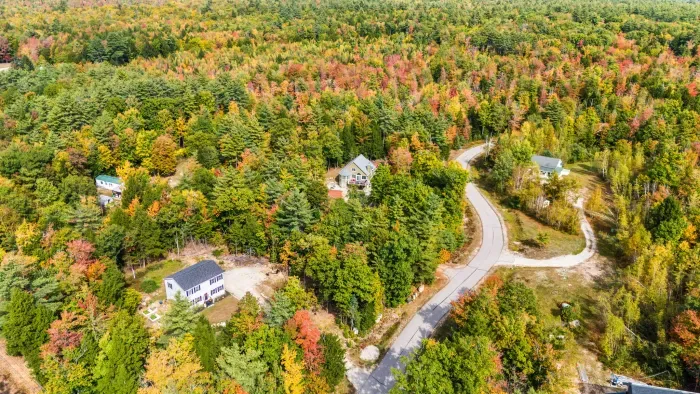 Aerial view of Mitten Pines cabin in the center of the frame