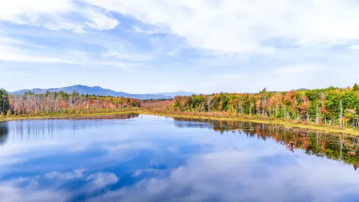 Want a local recommendation? Walk over to Dolloff Hill Rd. There you will get a great view of Mt. Washington! It's a 10 minute walk - be careful on rt. 153 if you're walking! 
