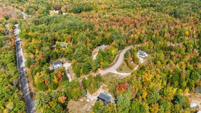 An aerial view of the Mitten Pines Cabin neighborhood