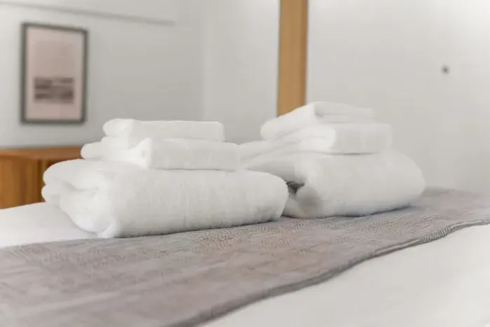 Bedroom with queen bed, sleeper sofa, work desk, smart TV and slider to private back deck