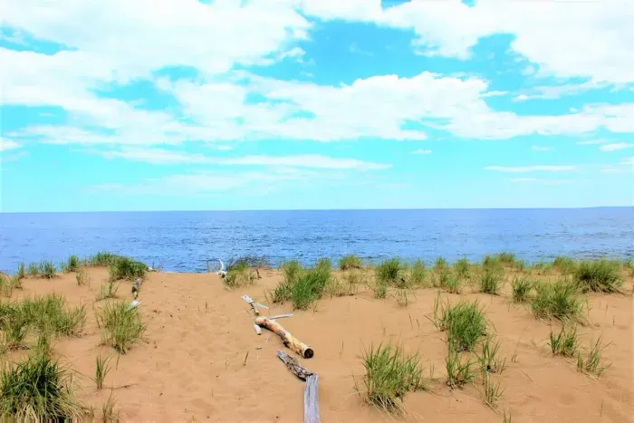 Your private path to Plum Island Beach