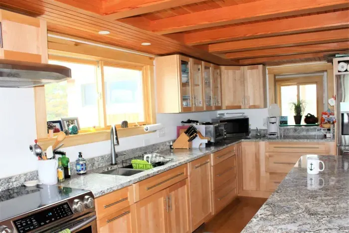 Open concept kitchen and living room with all new high-end appliances