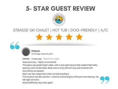 5 Star Review from a Recent Guest