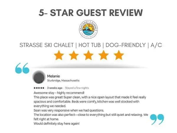 5 Star Review from a Recent Guest