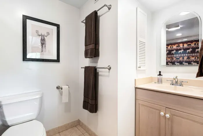 The primary bedroom ensuite. Clean towels provided. There is a jetted tub/shower combo in this bathroom