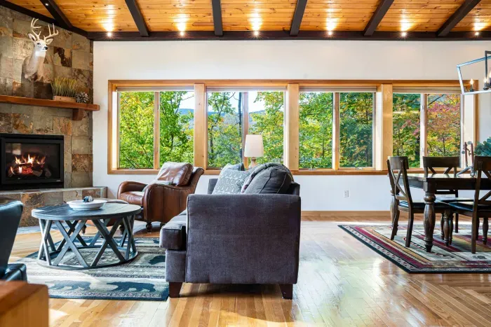 Cozy up on the couch with the fire going! Check out the partial mountain views!