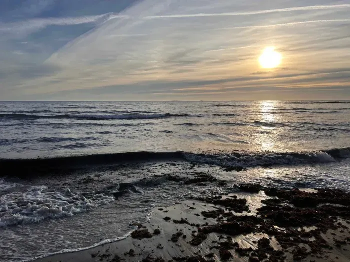 The NH Seacoast is only 10 Minutes away by car! Drive down scenic 1A and see some of the vest views and beaches NH has to offer