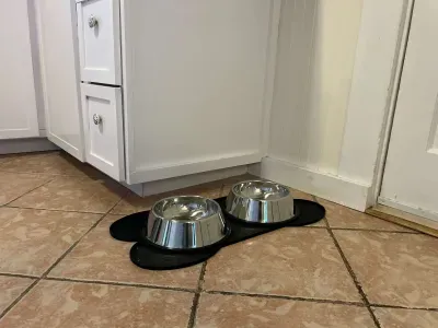 Bowls for your best friend are available at the property!