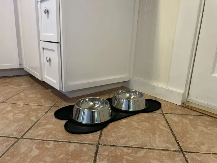 Bowls for your best friend are available at the property!