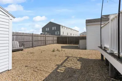 Back yard