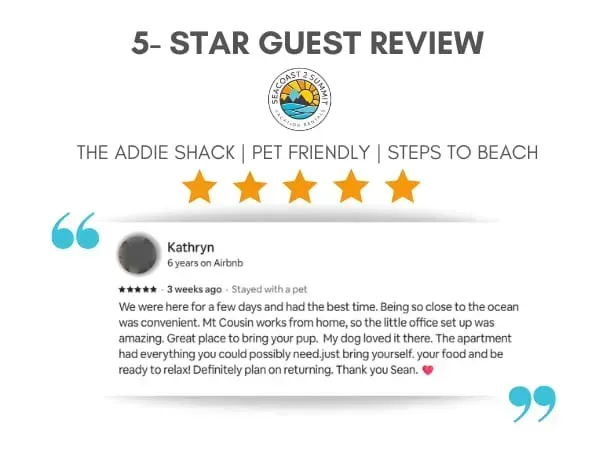 5 Star Review from a Recent Guest