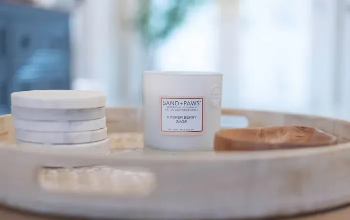 Open concept living room with a brand new sleeper sofa and Smart TV