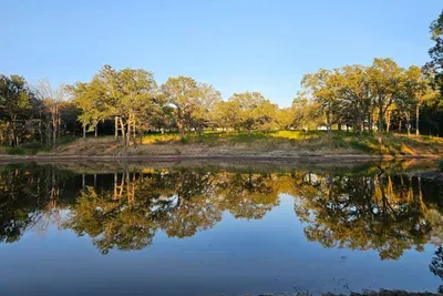 A view of the pond