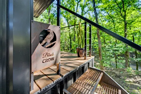 The Black Crow