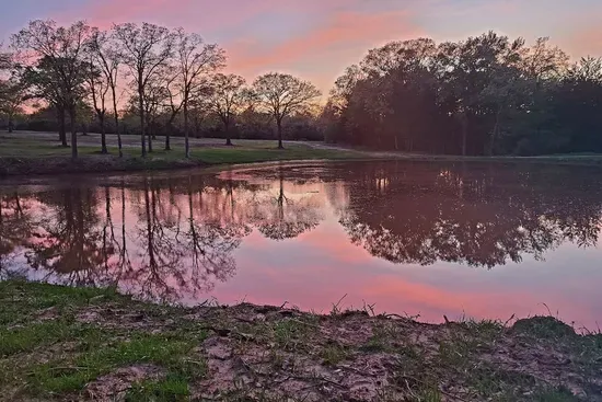 The most beautiful sunsets