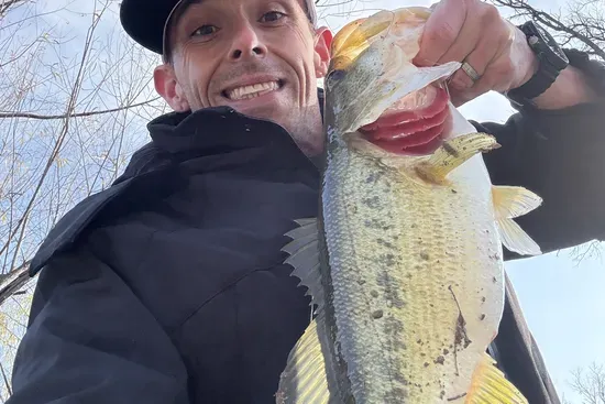 Catch and Stay