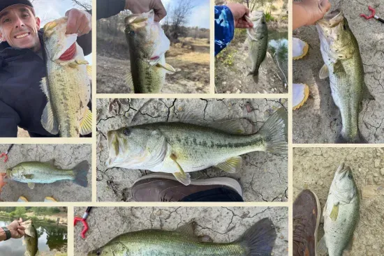 Catch and Stay