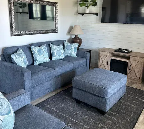 brand new living room furniture July 2024!
