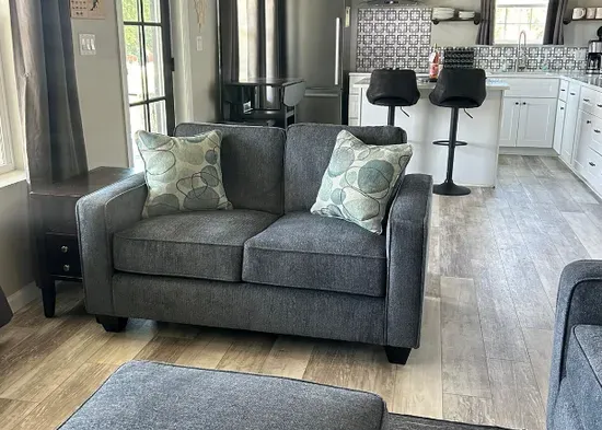 brand new living room furniture July 2024!
