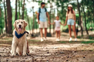 Your Complete Guide to Lake Norman with Dogs: Parks, Trails, and Breweries That Welcome Your Pup featured image