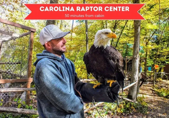 This famous center rehabilitates all sorts of birds of prey.  Get a chance to see these amazing birds up close.  Check the website for days/hours that they are open before going, as they close on certain days.  About 50 minutes away from the cabin.