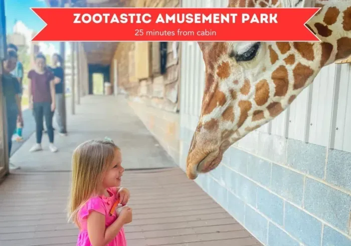 Zootastic is a family-owned zoo, with a range of exotic animals, offering tours, camps & educational programs.  Great for families and gets rave reviews from visitors, definitely a great place to check out for the animal lovers!